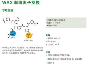 成都信息系統(tǒng)的固相萃取柱廠家 專業(yè)品質(zhì)與技術(shù)創(chuàng)新的完美結(jié)合